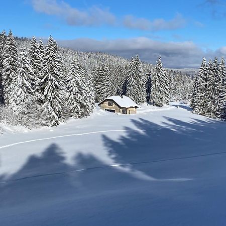 La Loge De La Dolarde - Chambre Nord-Est Hotel เพรมานง ภายนอก รูปภาพ