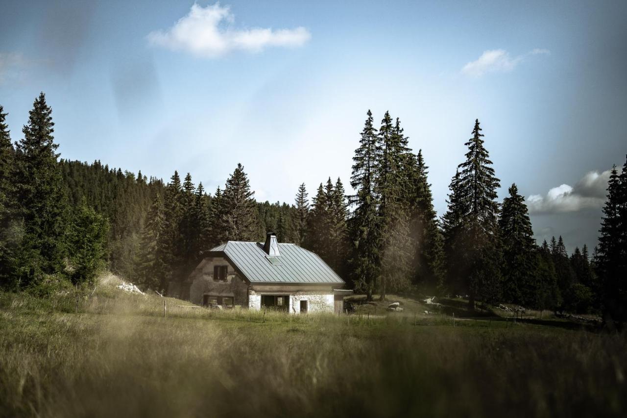 La Loge De La Dolarde - Chambre Nord-Est Hotel เพรมานง ภายนอก รูปภาพ