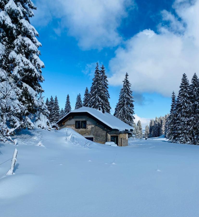 La Loge De La Dolarde - Chambre Nord-Est Hotel เพรมานง ภายนอก รูปภาพ