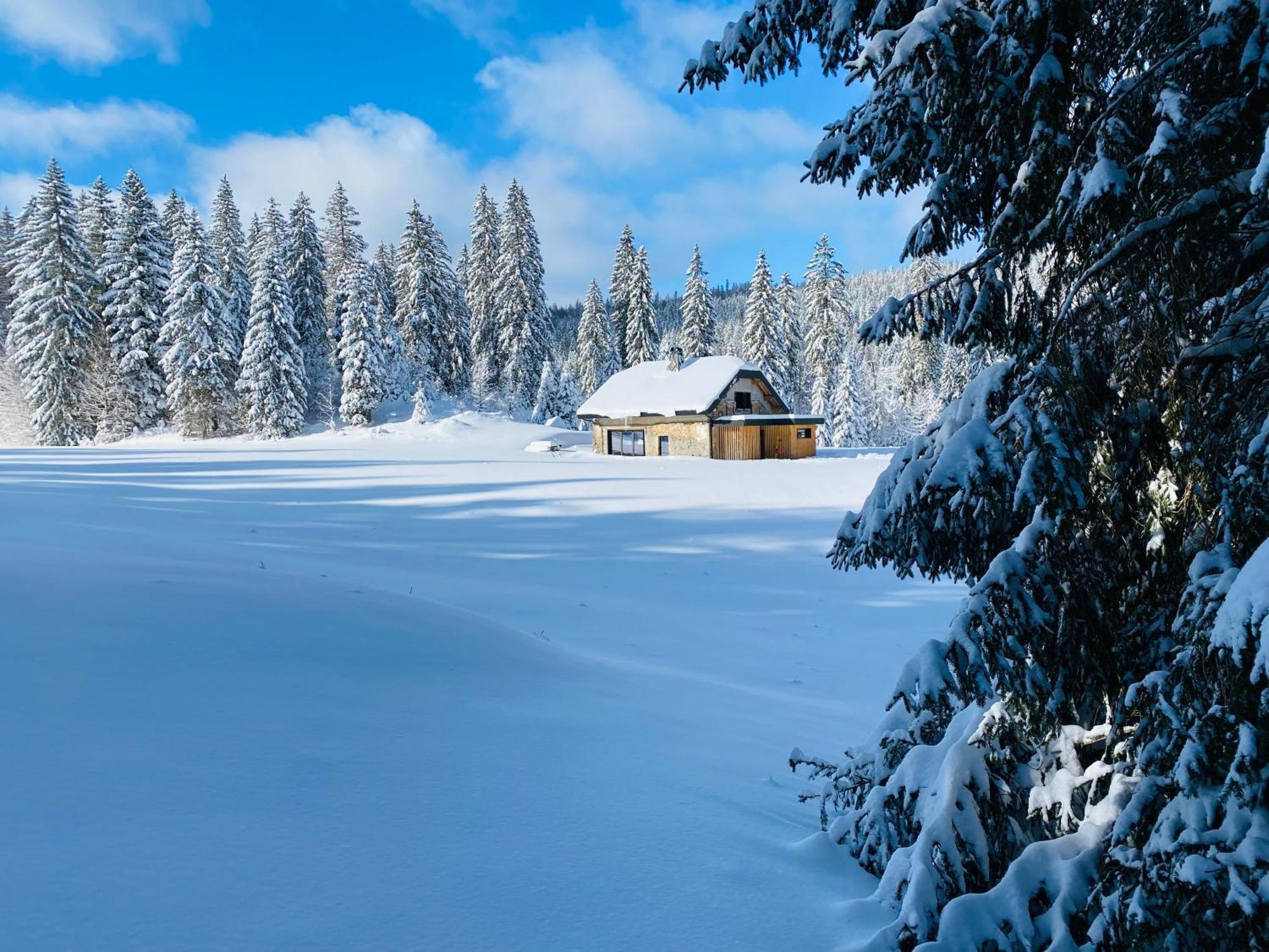 La Loge De La Dolarde - Chambre Nord-Est Hotel เพรมานง ภายนอก รูปภาพ