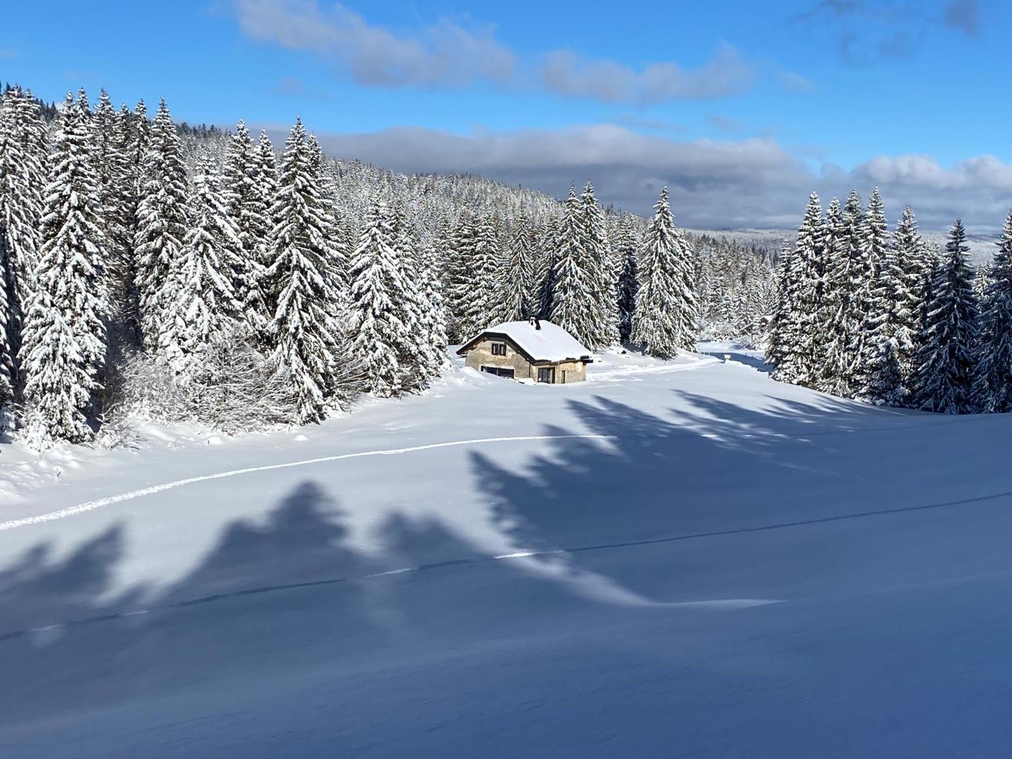 La Loge De La Dolarde - Chambre Nord-Est Hotel เพรมานง ภายนอก รูปภาพ